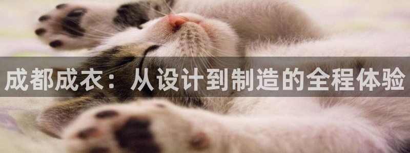 乐发彩票平台代理