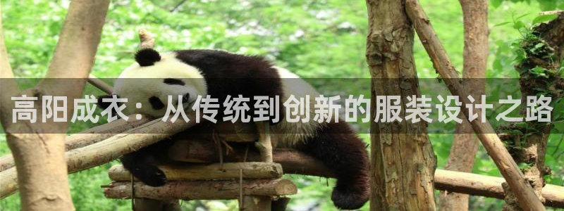 乐发1平台下载安装
