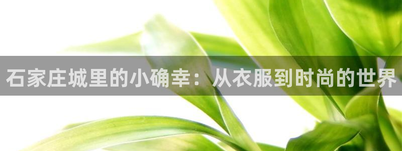 乐发平台网址多少