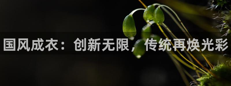 乐发VIII平台免费版