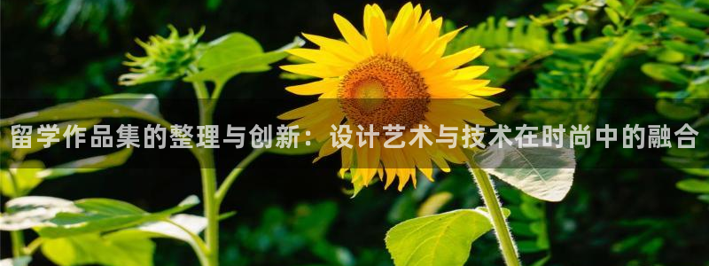 乐发是正规大平台吗