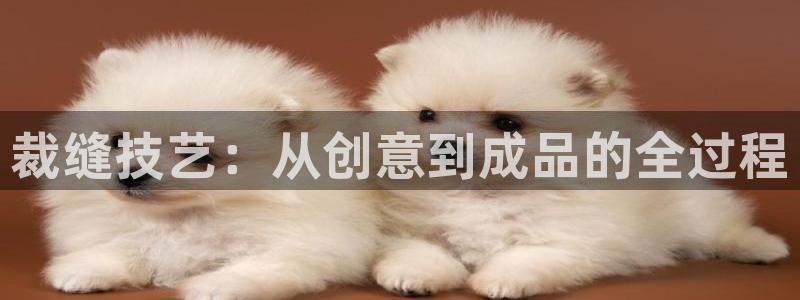 兼职乐系列发圈平台