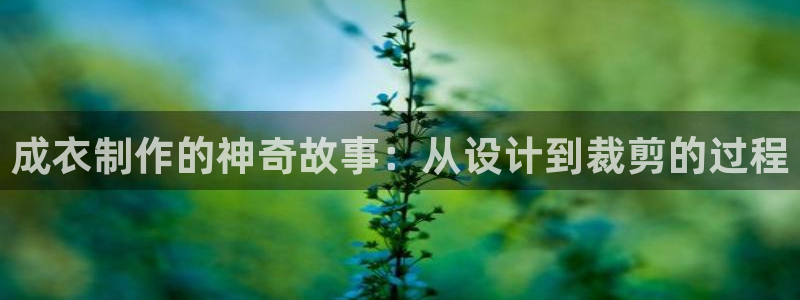 乐发平台黑吗