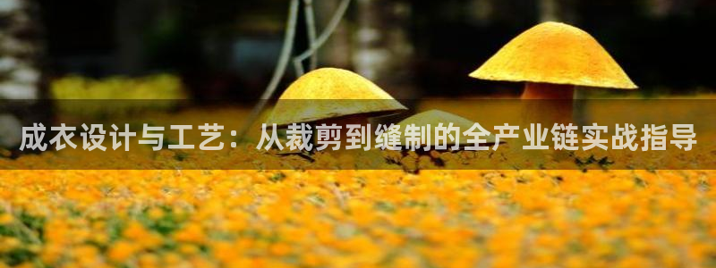 乐发ll平台