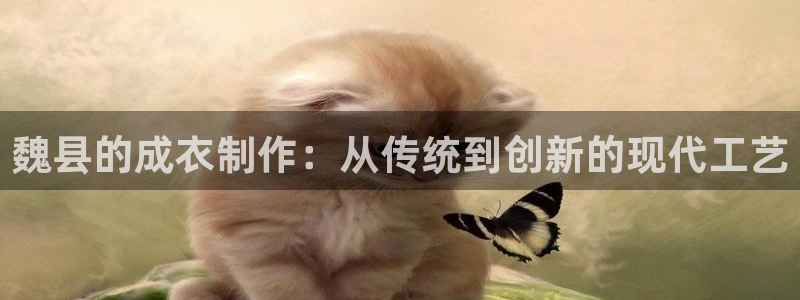 乐发ii彩票平台怎么样