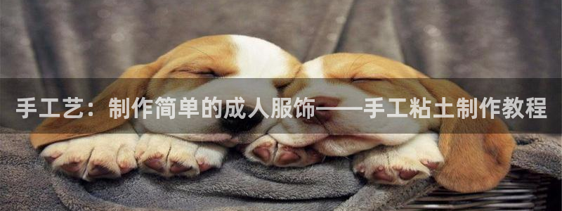 乐发1平台下载