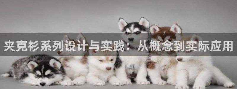 乐发茶楼团购平台官网
