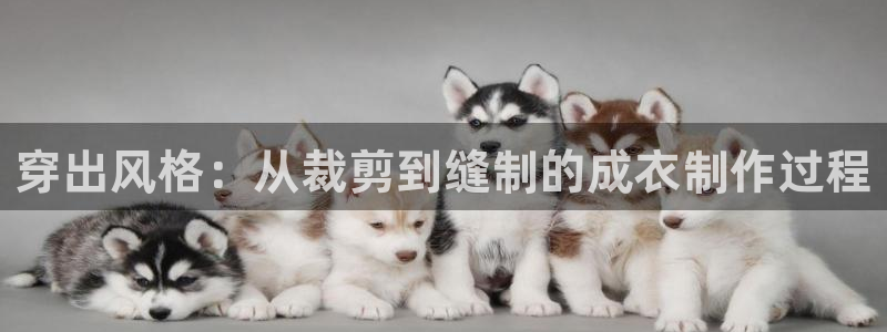 乐发彩票平台入口官网