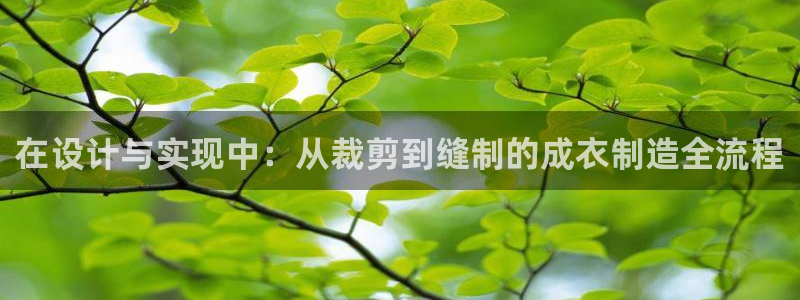 乐发IV_平台