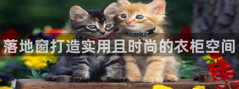 乐发平台app下载安装官网