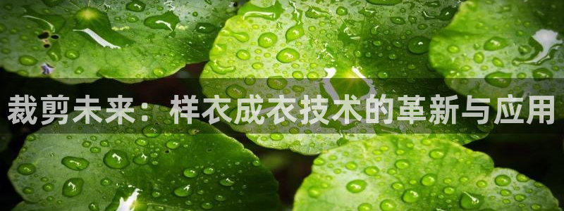 乐发平台怎么样知乎推荐