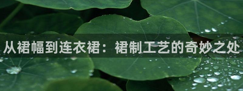 乐发第一娱乐平台邀请码