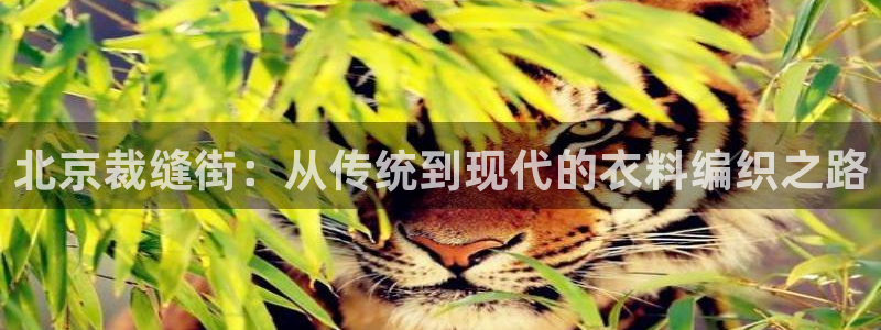 乐发l 购彩平台