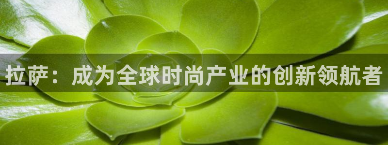 乐发平台怎么样知乎赚钱