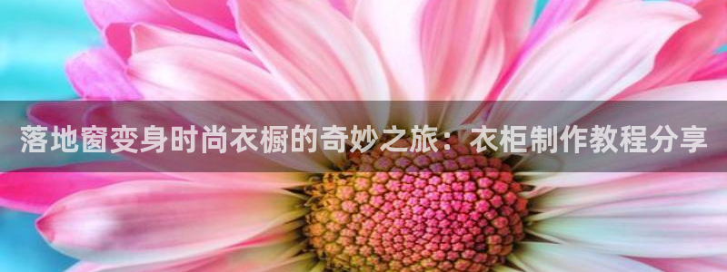 乐发邀请码平台是什么