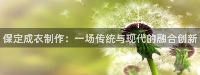 名发乐彩IV平台怎么样