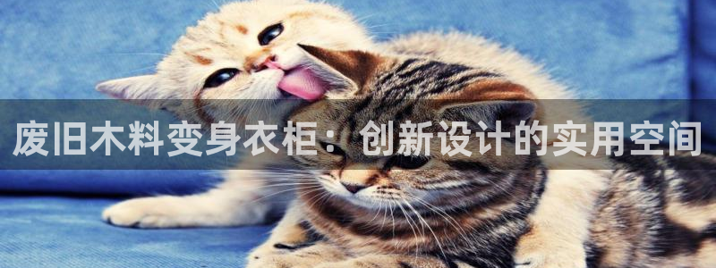 乐发彩票平台官网