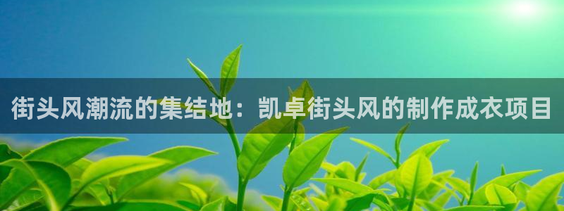乐发传媒平台放单