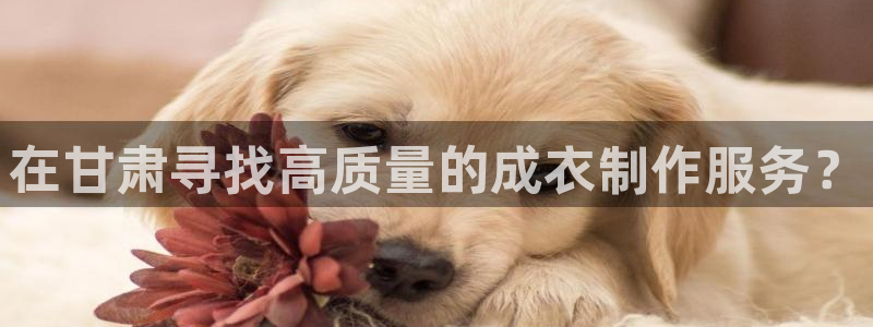 名发乐彩IV平台怎么样