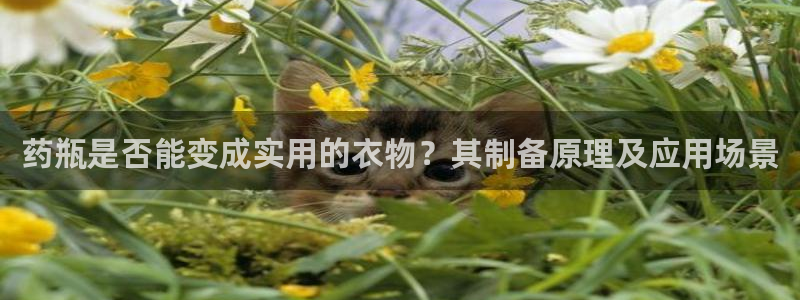 乐发1平台