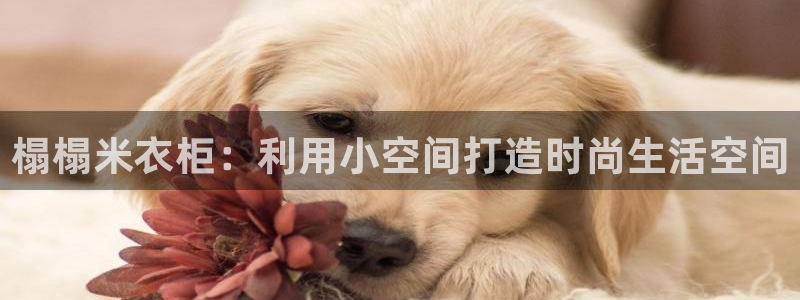 乐发是大平台吗