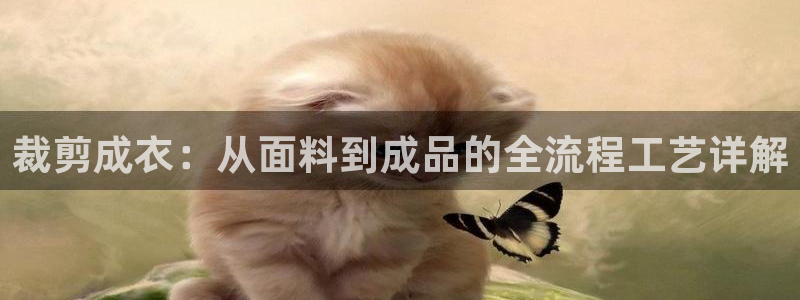 乐发彩票平台跑路了吗